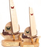 foiling moth sailing trophy